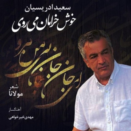 دانلود آهنگ جدید سعید ادریسیان به نام خوش خرامان میروی دانلود آهنگ جدید سعید ادریسیان به نام خوش خرامان میروی