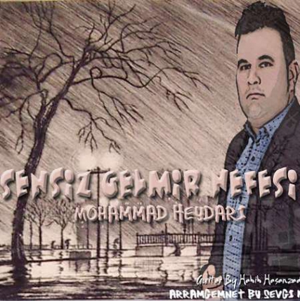 دانلود آهنگ سنسیز گلمیر نفسیم از محمد حیدری Mohammad Heydari Sensiz Gelmir Nefesim Cover Music fa.com دانلود آهنگ سنسیز گلمیر نفسیم از محمد حیدری