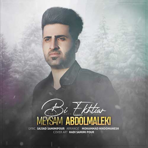 میثم عبدالمالکی بی اختیار