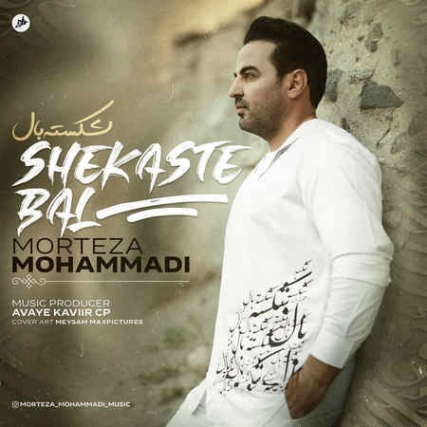 دانلود آهنگ مرتضی محمدی شکسته بال Morteza Mohammadi Shekaste Bal Music fa.com دانلود آهنگ مرتضی محمدی شکسته بال