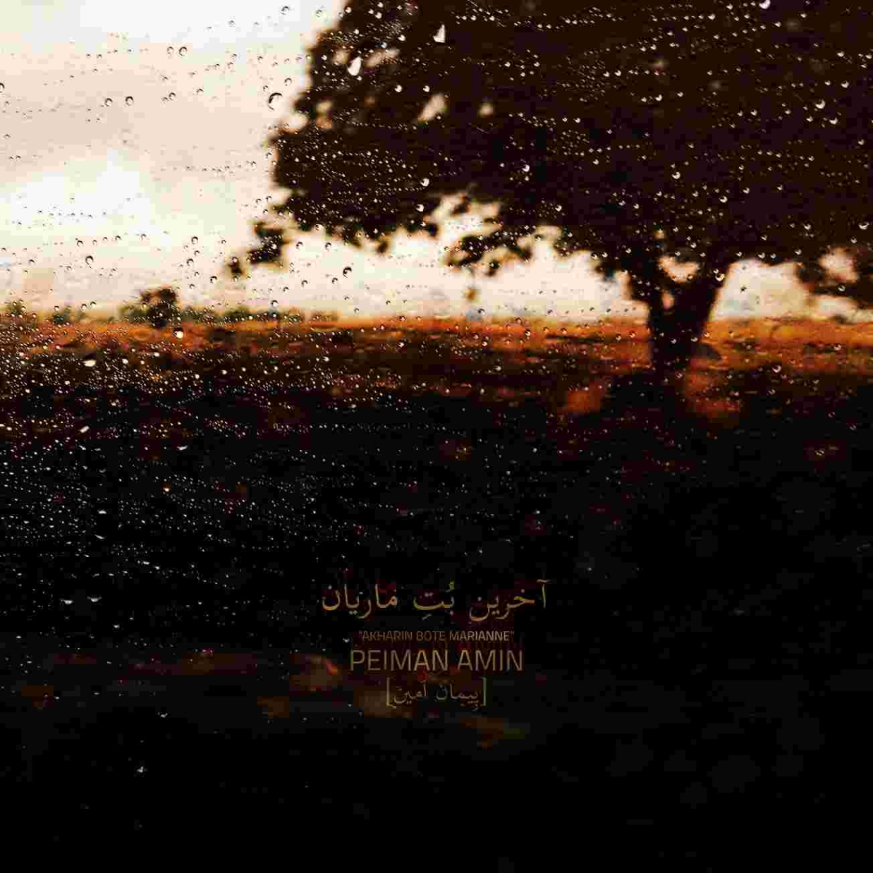 دانلود آهنگ پیمان امین به نام آخرین بُتِ ماریان