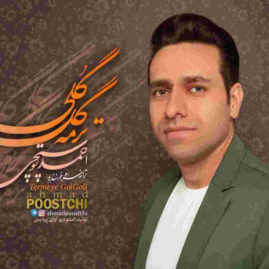 دانلود آهنگ احمد پوستچی به نام ترمه گل گلی