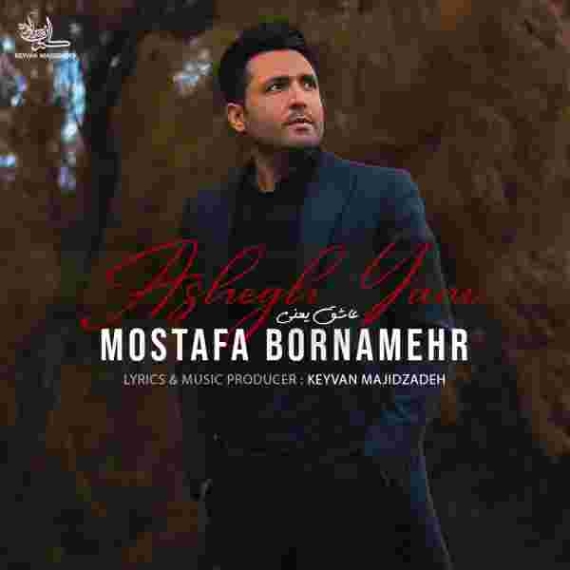 دانلود آهنگ مصطفی برنا مهر به نام عاشق یعنی