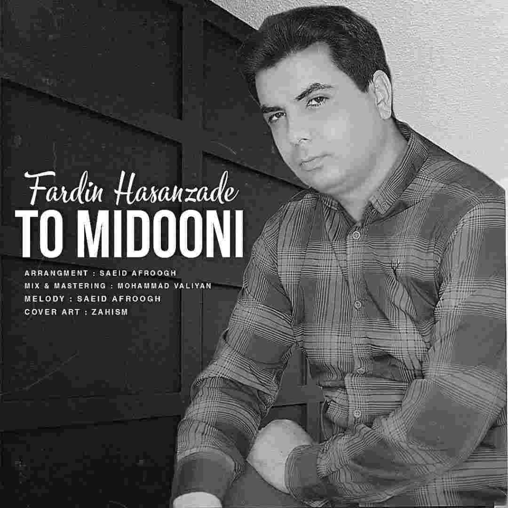 دانلود آهنگ فردین حسن زاده به نام تو میدونی