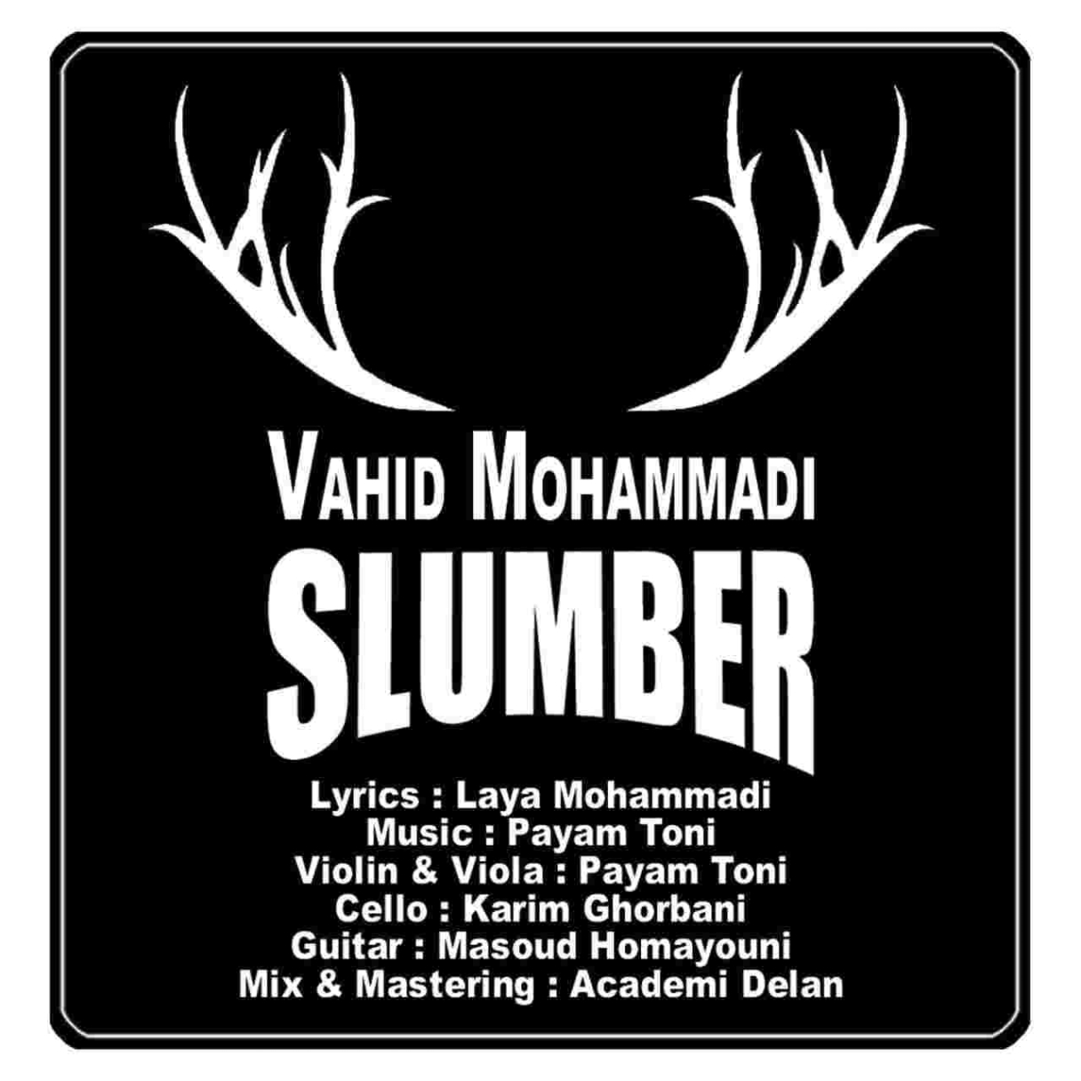 دانلود آهنگ وحید محمد به نام خواب خرگوشی