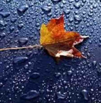 دانلود آهنگ اگه دور بشی از دور میپامت awr 1 دانلود آهنگ اگه دور بشی از دور میپامت