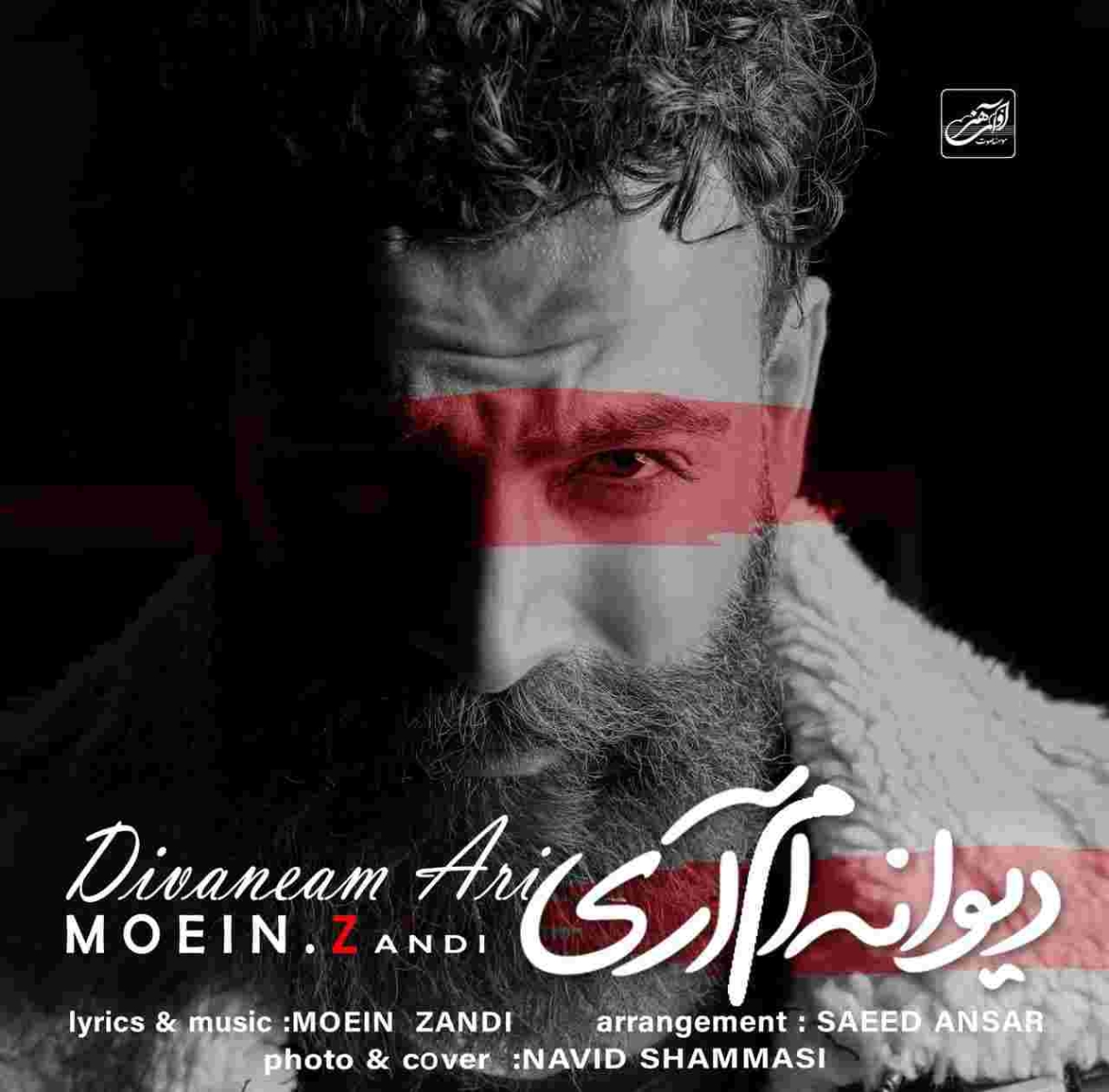 دانلود آهنگ معین زندی به نام دیوانه ام آری