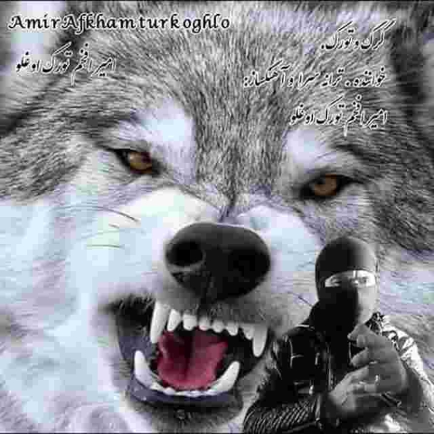 دانلود آهنگ گرگ و تورک به نام امیر افخم تورک اوغلو گرگ و تورک