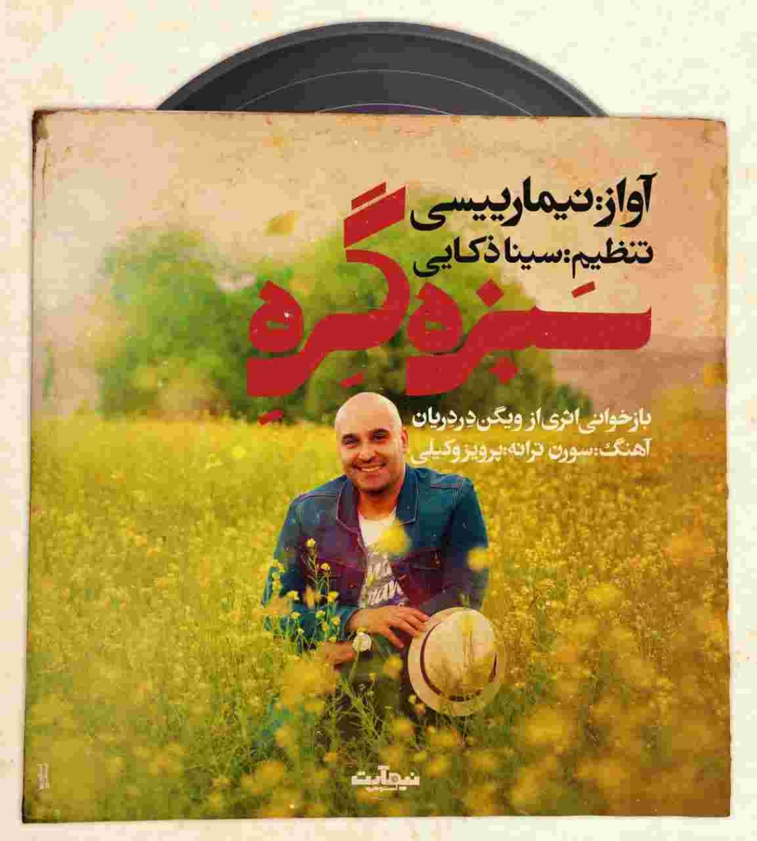 دانلود آهنگ نیما رییسی به نام سبزه گره