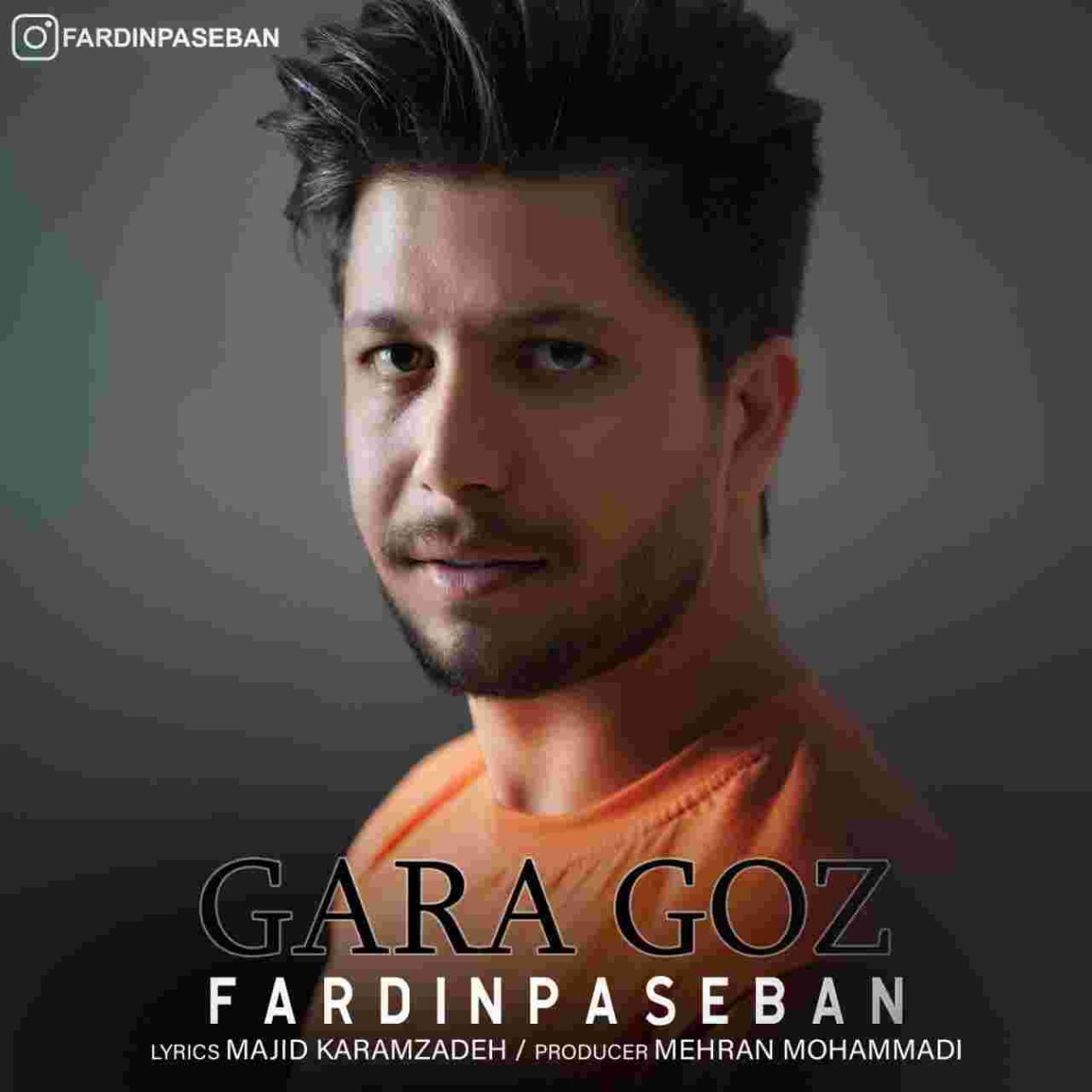 دانلود آهنگ فردین پاسبان قارا گوز به نام قارا گوز
