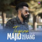دانلود آهنگ حامد وثوقی دیوونم کردی دانلود آهنگ حامد وثوقی دیوونم کردی