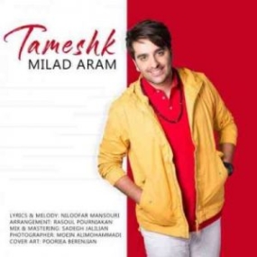 دانلود آهنگ میمیره قلب من واسه شدت زیباییت 1 Milad Aram Tameshk