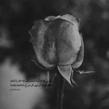 دانلود آهنگ نمی بینی حالم بده منو به تنهایی باز عادت نده دانلود آهنگ نمی بینی حالم بده منو به تنهایی باز عادت نده