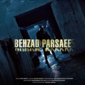 دانلود Behzad Parsaee - Hiss Persian Music بهزاد پارسایی - آهنگ فارسی هیس