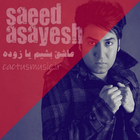 دانلود آهنگ سعید آسایش عاشق بشیم یا زوده