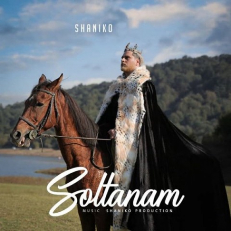 دانلود آهنگ جدید شانیکو به نام سلطانم