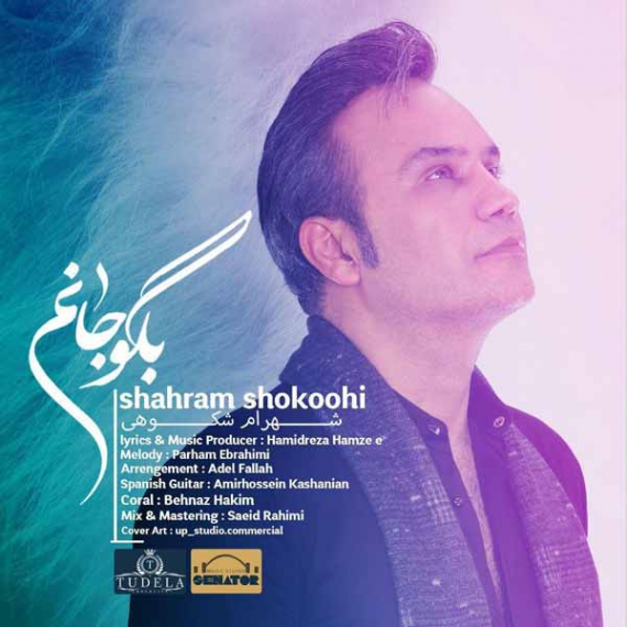 دانلود Shahram Seddighi - Joz To Persian Music شهرام صدیقی - آهنگ فارسی جز تو