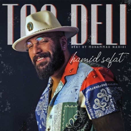 دانلود آهنگ حمید صفت تودلی