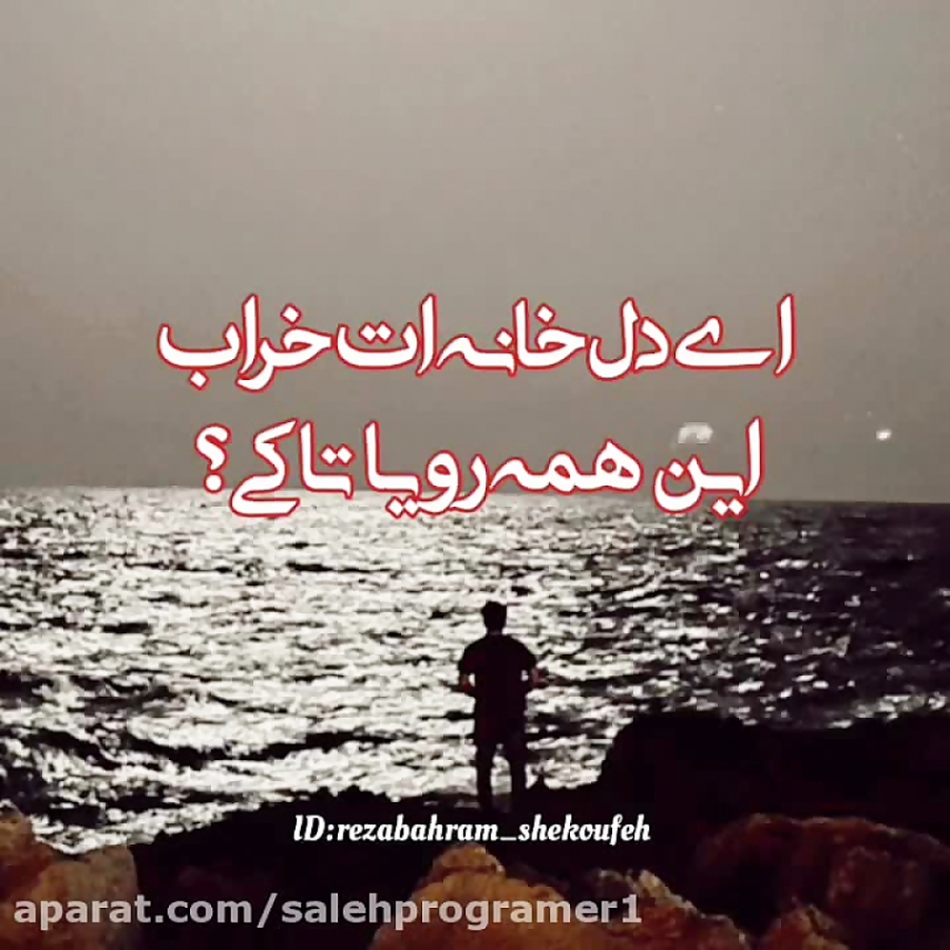 دانلود آهنگ مجتبی آلاله ای دل خانه ات خراب این همه رویا تا کی