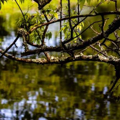 دانلود آهنگ عامل زندون رفیق دست تو بنده بند یک جرمای غیر عمده