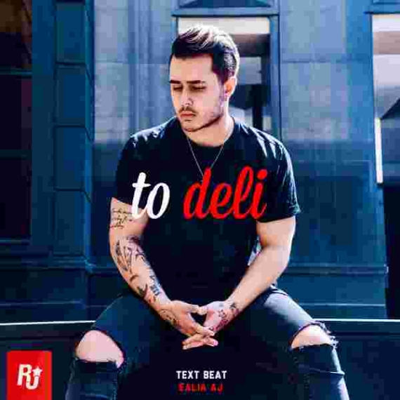 دانلود آهنگ علیا عج به نام تو دلی