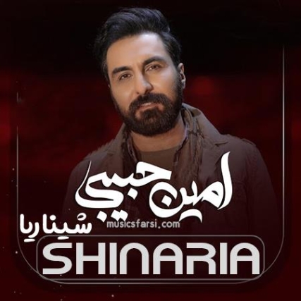 دانلود آهنگ وقتی پیش توام آروم آرومم امین حبیبی