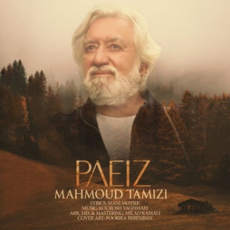 دانلود آهنگ محمود تمیزی به یاد سلطان