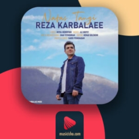 دانلود آهنگ رضا کربلایی نفس تنگی