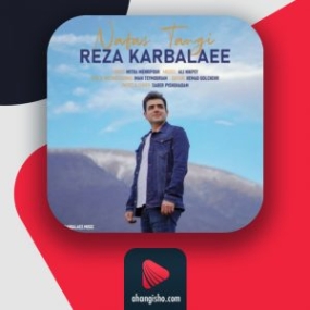 دانلود آهنگ رضا کربلایی نفس تنگی