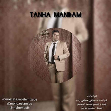 دانلود آهنگ مصطفی شهرکی بیا برگرد