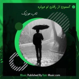 دانلود آهنگ این دلم دلتنگی تو رو داره آسمون از رفتن تو میباره موسی الرضا هاتفی