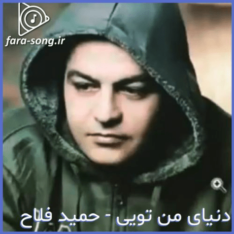 دانلود آهنگ این دلم دلتنگی تو رو داره آسمون از رفتن تو میباره موسی الرضا هاتفی