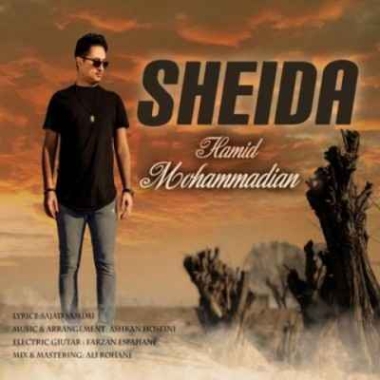 دانلود آهنگ حمید محمدیان دل