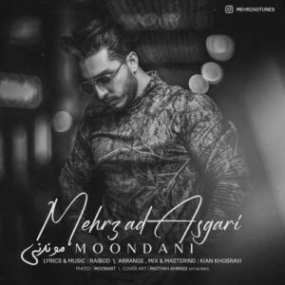 دانلود آهنگ شاهین راستین سلام