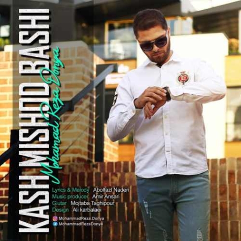 دانلود آهنگ علی شهان کاش میشد باشم