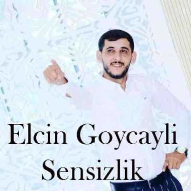 دانلود آهنگ الوداع بیرده سنی گورمیجم ریمیکس