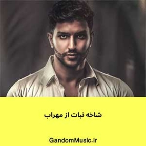 دانلود آهنگ ریزه ریزه رضا میراب ریزه ریزه