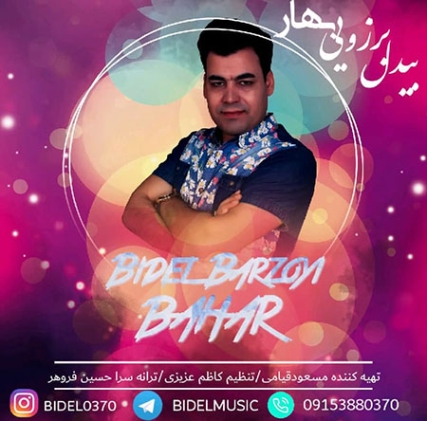 دانلود آهنگ تو وطن گل منی بیدل برزویی