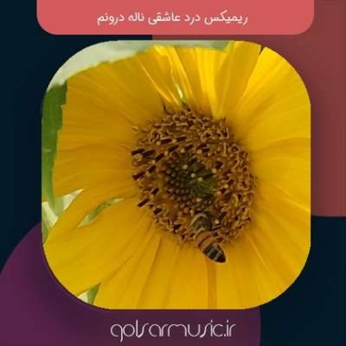 دانلود آهنگ درد عاشقی ناله درونم ریمیکس MP3