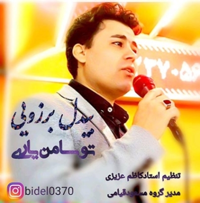 دانلود آهنگ تنها باغ دل منی بیدل برزویی