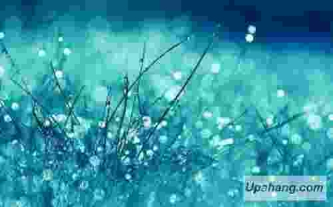 دانلود آهنگ بابک افرا دور شو