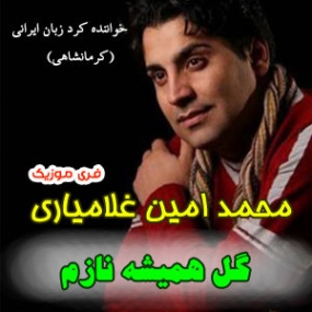 دانلود آهنگ هرکس به طریقی دل ما میشکند محمد امین غلامیاری