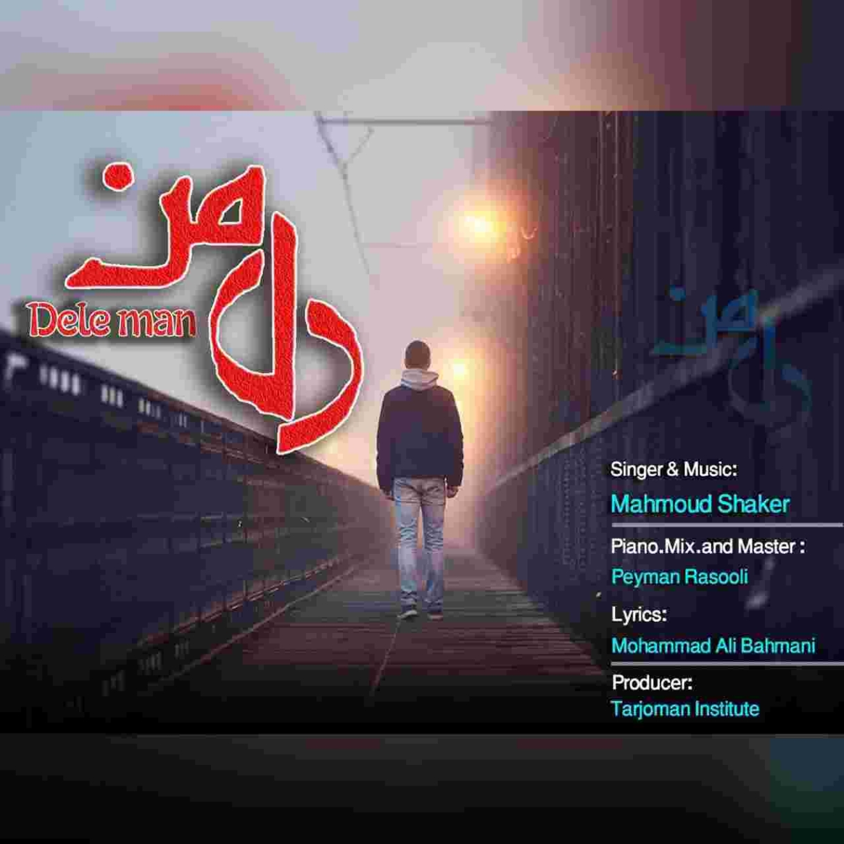 دانلود آهنگ محمود شاکر دل من به نام دل من