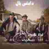 دانلود آهنگ دادلی بال به نام سعید واحدیان دادلی بال