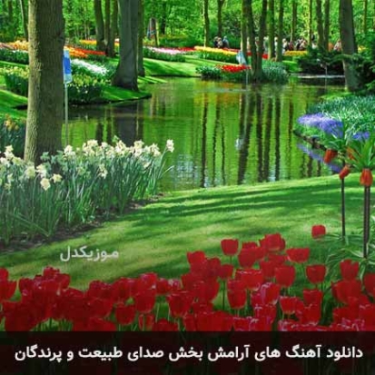 دانلود صدای طبیعت جنگل پرندگان